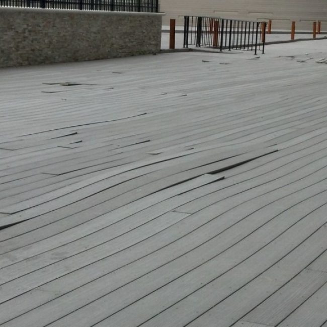 imgi_28_5c646a0ae7aecc1e20c6f13c_NJ13