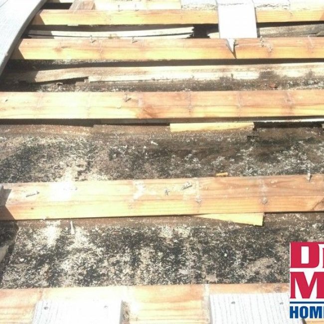 imgi_33_5c646ba9e7aecc36c1c6f876_NJ18