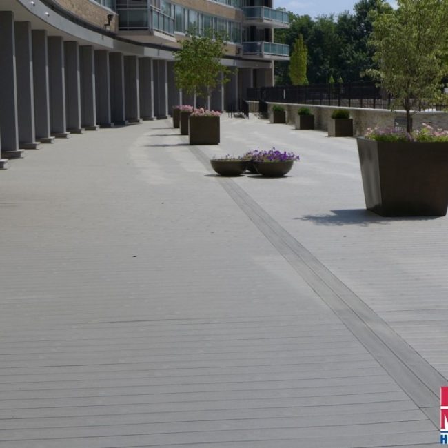 imgi_77_5c647c4484d173177e74ce76_NJ62